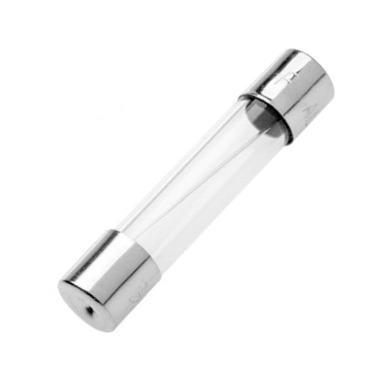 Glass fuse 8A 250V