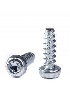 Torx screw for plastic M2.5x10mm DIN745 - silver